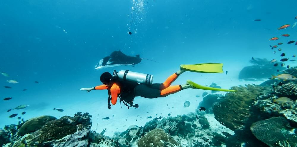 潛水系統怎麼選?PADI、SSI、NAUI、CMAS差異比較 潛水系統怎麼選?PADI、SSI、NAUI、CMAS差異比較