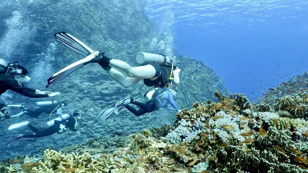 花蓮體驗潛水主題圖，石梯坪由專業教練帶領進行新手潛水體驗