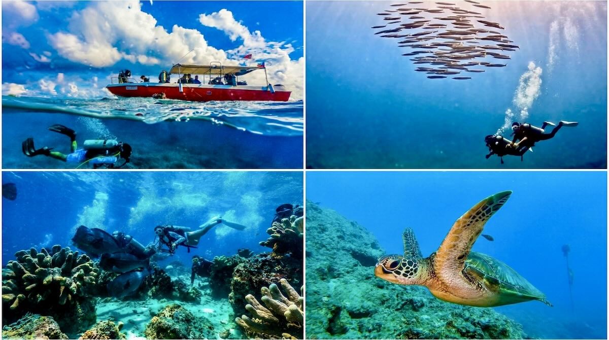 NAUI 初級潛水課程 OWD|好野人 Wilds NAUI 初級潛水課程 OWD 國際潛水證照